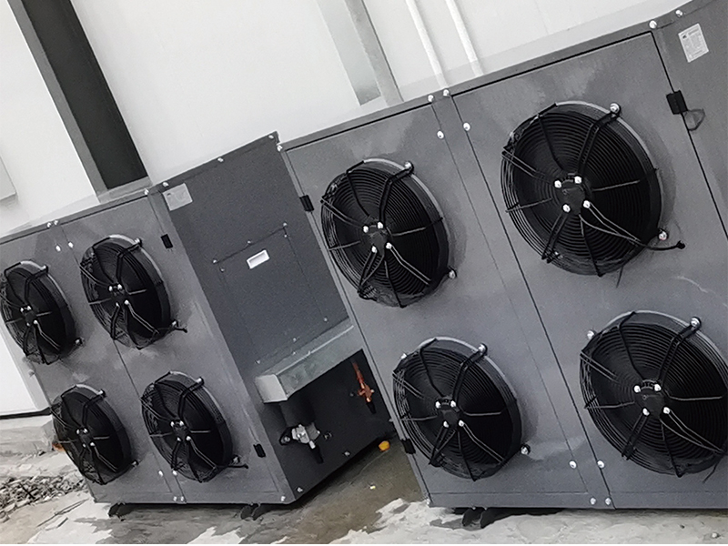 湖北潜江泰美葡萄合作社(葡萄预冷库)